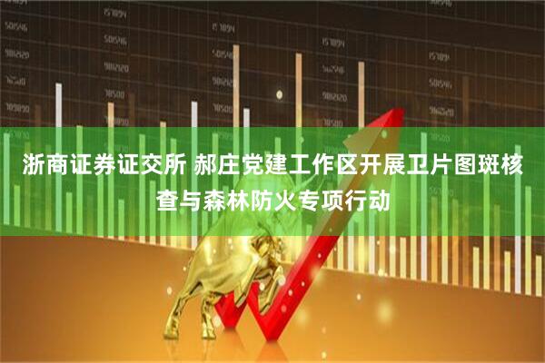 浙商证券证交所 郝庄党建工作区开展卫片图斑核查与森林防火专项行动