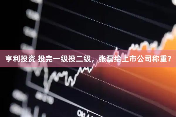 亨利投资 投完一级投二级，张磊给上市公司称重？