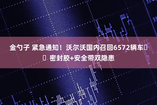 金勺子 紧急通知！沃尔沃国内召回6572辆车⚠️密封胶+安全带双隐患